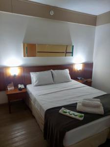 圣保罗Flat Borges Lagoa Vl Mariana Ibirapuera com garagem UH1007的一间卧室配有一张床,上面有两条毛巾