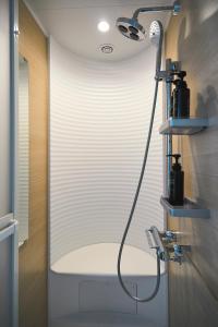 NEW HUMBER的带淋浴和吹风机的浴室