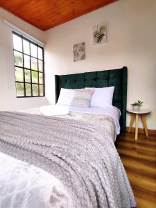 派帕Casa Cielo en Paipa Centro的一间卧室配有一张大床和绿色床头板