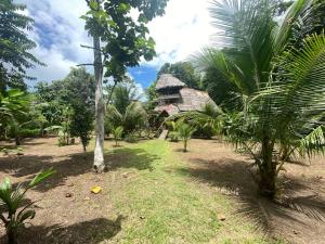 普卡尔帕Jungle Lodge with lookout tower的棕榈树和建筑的度假村