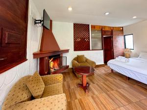 YaruguíMckay's Quinta的客厅设有一张床和一个壁炉