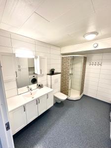 朗伊尔城Longyearbyen Apartment的白色的浴室设有卫生间和水槽。