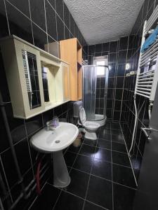 普里什蒂纳NEWBORN CENTER hostel的黑色瓷砖浴室设有水槽和卫生间
