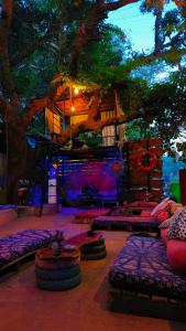 阿姆波尔Mitra Hostel的一间配有沙发的房间,一棵树和舞台