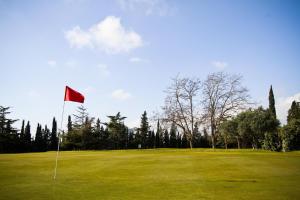 雷乌斯AIGUESVERDS HomeStay By Turismar的绿色的高尔夫球场,有红旗