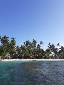 Arritupo Número DosIslas Bonitas的享有棕榈树海滩和大海的景色
