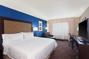 塔科马塔科马市中心智选假日套房酒店的一间酒店客房,配有一张大床和一台平面电视