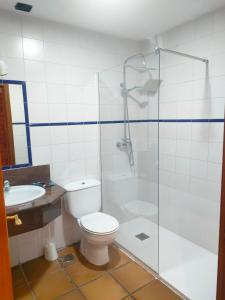 埃尔韦鲁埃科拉德埃萨阿罗雅蜜恩拖斯酒店的一间带卫生间和玻璃淋浴间的浴室