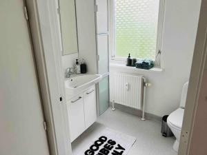 奥胡斯Lovely 1-bedroom condo in Aarhus C的一间带水槽、卫生间和镜子的浴室