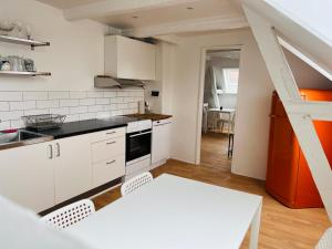 Lovely 1 room Apartment Aarhus C的厨房或小厨房