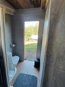 KvillsforsHemma fran Hemma - Stuga的一间带卫生间和步入式淋浴间的浴室