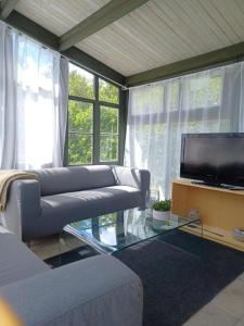 KvillsforsHemma fran Hemma - Stuga的客厅配有2张沙发和1台平面电视