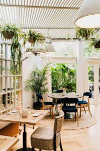 巴塞罗那Hotel Pulitzer Barcelona的配有桌椅和植物的房间