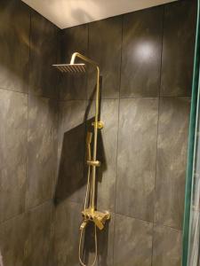 穆里Royal Resort的墙上的淋浴头是铜制淋浴头