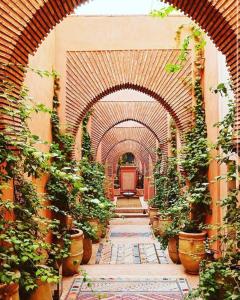 塔什干Hamsa Butique Hotel Tashkent的建筑中带有盆栽植物的拱门