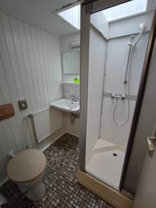 福尔巴赫Room in Guest room - Single room with shared bathroom and kitchen in Forbach的带淋浴、卫生间和盥洗盆的浴室