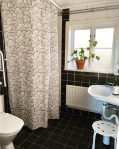 瓦斯泰纳Vadstena Vandrarhem-Hostel的浴室配有淋浴帘和盥洗盆。
