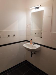 SwalmenHouterhoeve的白色的浴室设有水槽和镜子