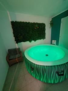 乐巴凯尔斯Villa 6p piscine spa privatif wifi proche des plages的植物浴室内的绿色大浴缸