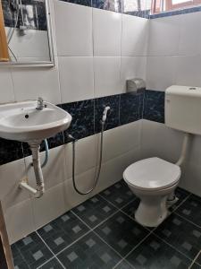 丹那拉打Hotel Rasa Sayang 2的一间带卫生间和水槽的浴室
