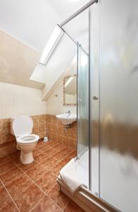 伏尔塔瓦河畔罗日姆贝克乌马丁纳酒店的一间带卫生间和水槽的浴室