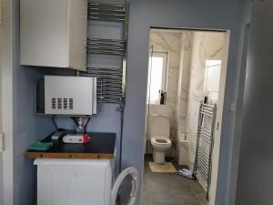 爱丁堡Studio Flat的一间带卫生间和水槽的小浴室