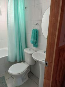 弗鲁蒂亚尔Cabañas Nelly的浴室设有卫生间、水槽和蓝色的浴帘