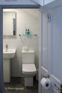 Chale怀特茅斯旅馆的一间带卫生间、水槽和镜子的浴室