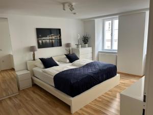 萨尔茨堡城市中心公寓的一间卧室配有一张带蓝色枕头的大床