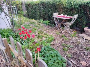 科尔马Les coquelicots, calme, jardin的花园里的桌椅,鲜花盛开