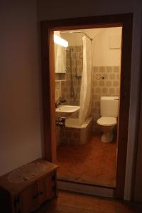 阿尔代兹Chasa Campell的浴室配有卫生间、盥洗盆和淋浴。