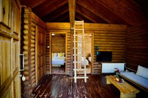 MayrūbāWood Hills Hotel & Resort的小木屋内带梯子的房间