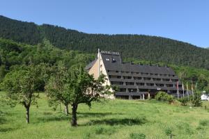 维耶拉图卡瑞沃酒店的山坡上树木林立的酒店