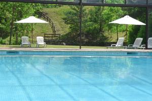 维耶拉图卡瑞沃酒店的一组椅子和遮阳伞,位于游泳池旁