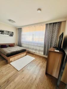 斯卡日斯科-卡缅纳MICKA 25的一间卧室配有一张床和一台电视