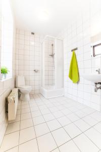 托伦绿色旅社的带淋浴和卫生间的白色瓷砖浴室
