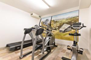 拉维拉麂皮酒店的健身房设有两辆健身自行车和一幅画