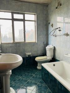 亚的斯亚贝巴Goza Guest House 22的带浴缸、卫生间和盥洗盆的浴室