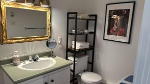 圣伊雷内Hôtel Le Rustique的一间带水槽、镜子和卫生间的浴室