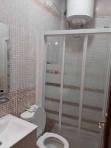 埃尔罗西奥Mini Rocio的带淋浴、卫生间和盥洗盆的浴室