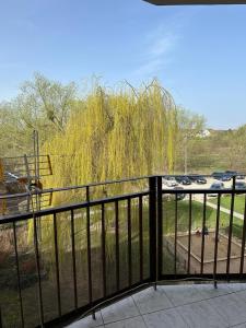 吉日茨科Przytulne mieszkanie blisko kanalu的从阳台上可欣赏到 ⁇ 的柳树景色