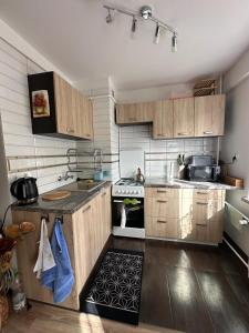 吉日茨科Przytulne mieszkanie blisko kanalu的厨房配有木制橱柜和炉灶烤箱。