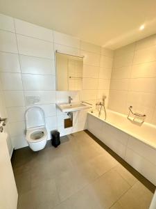 诺伊豪森3.5Room@MydiHei Apartments的一间带卫生间和水槽的浴室