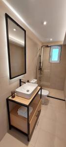 达西亚Casa Sofia的一间带水槽、卫生间和镜子的浴室