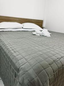 弗朗西斯科贝尔特朗PORTAL PARQUE HOTEL的一张大床,带两个枕头