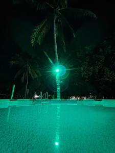 圣贝尔纳多德尔比恩托Cabaña Palmeras del Viento的棕榈树在泳池中间的夜晚