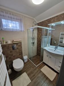 比克Hajnalka vendégház的带淋浴、卫生间和盥洗盆的浴室