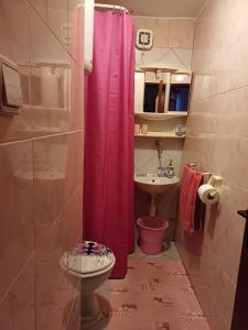 希洛Apartment in green and quite area, close to beach的浴室设有粉红色的淋浴帘和水槽