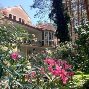 哥鲁拜克维拉杜纳斯基拉吉酒店的前面有鲜花的粉红色房子
