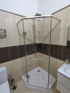 明德卢Pombas Brancas Hotel的浴室里设有玻璃门淋浴